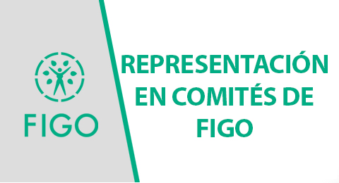 REPRESENTACIÓN EN COMITÉS DE FIGO