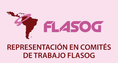 REPRESENTACIÓN EN COMITÉS DE TRABAJO FLASOG